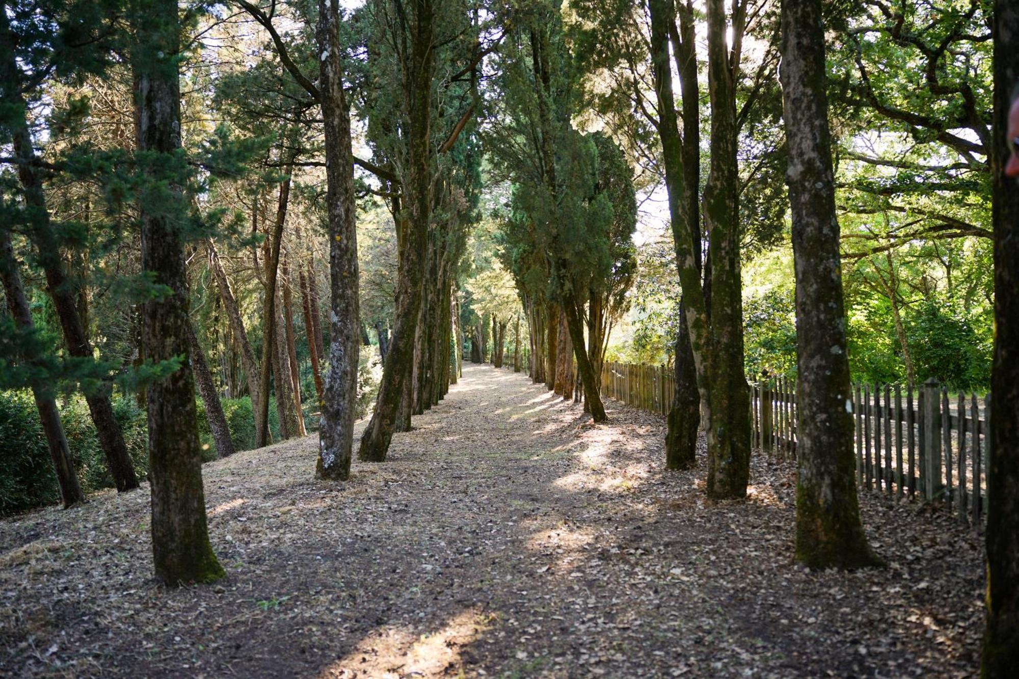 Вілла Borgo Di Camporsevoli Екстер'єр фото